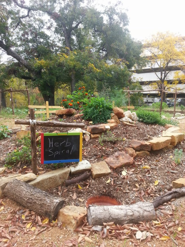 Community Highlight: Deep Roots Garden - Shoal Creek Conservancy